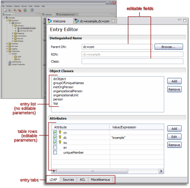 Main Window for Editing Entries